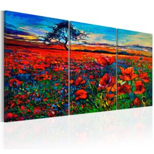 Vászonkép Bimago - Valley of Poppies 120x60 cm