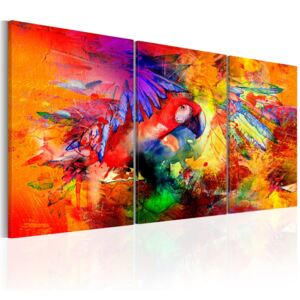 Vászonkép Bimago - Colourful Parrot 120x60 cm