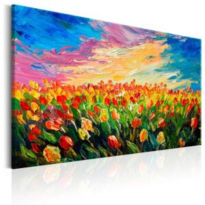 Vászonkép Bimago - Sea of Tulips 60x40 cm