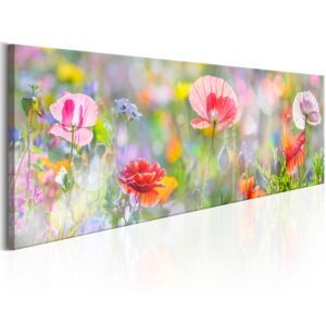 Vászonkép Bimago - Rainbow of Morning Poppies 135x45 cm