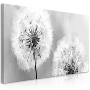 Vászonkép Bimago - Fluffy Dandelions Grey Wide 100x45 cm