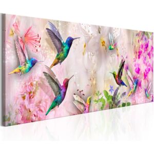 Vászonkép Bimago - Colourful Hummingbirds Narrow 120x40 cm