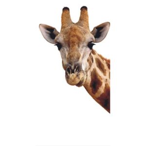 Fotótapéta ajtóra AG DESIGN - Giraf Papír tapéta