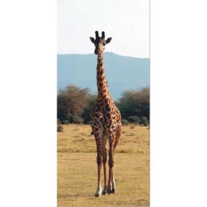 Fotótapéta ajtóra AG DESIGN - Giraf 2 Papír tapéta