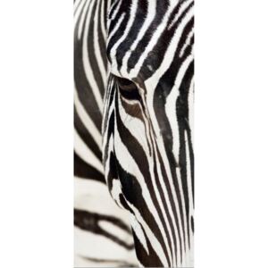 Fotótapéta ajtóra AG DESIGN - Zebra Papír tapéta
