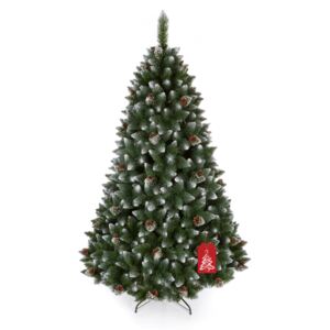 Karácsonyfa Fehér végű erdei fenyő 2D 180 cm
