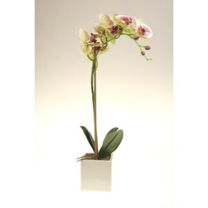 Selyem orchidea cserépben 47 cm cirmos