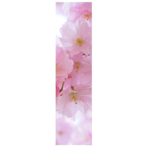 Nyomatos roletta Rózsaszín meggyvirágok 38x150cm FR4854A_1LW