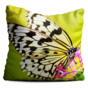 Butterfly zöld párna, 40 x 40 cm - Oyo home
