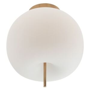 Redo Redo 01-1437 - Mennyezeti lámpa BABOL 1xLED/12W/230V UN0262