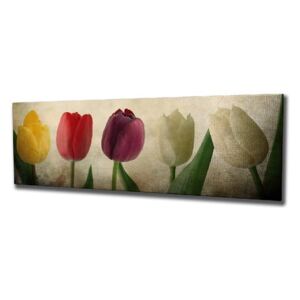 Tulip vászon fali kép, 80 x 30 cm