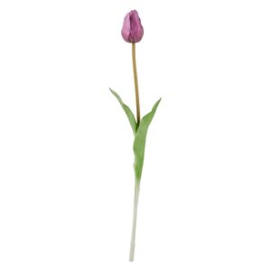 FLORISTA tulipán lila 47 cm