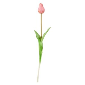 FLORISTA tulipán rózsaszín