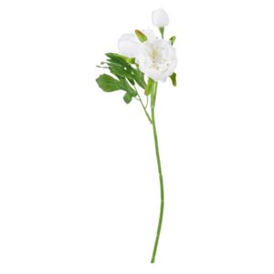 FLORISTA boglárka fehér, 29 cm