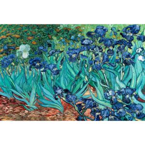 Plakát Vincent van Gogh - Les Irises, (91,5 x 61 cm)