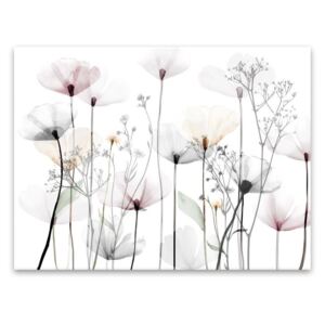 Vászon falikép, színes mákvirágok, 50x125 cm, fehér - EPHEMERES