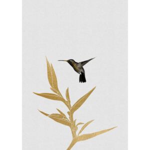Ábra Hummingbird & Flower II, Orara Studio