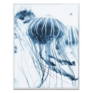 Falikép 30x40 cm, medúzák - MEDUSE