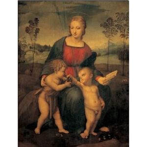 Raphael Sanzio - Madonna of the Goldfinch - Madonna del Cardellino Festmény reprodukció, Raffaello, (60 x 80 cm)