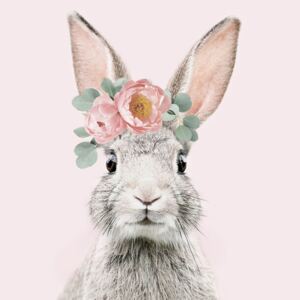 Exkluzív Művész Fotók Flower crown bunny pink, Sisi & Seb