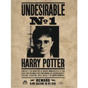 Harry Potter - Undesirable No1 Festmény reprodukció, (30 x 40 cm)