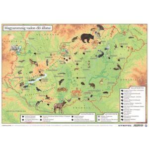 Könyökalátét, kétoldalas, A3, STIEFEL Magyarország vadon élő állatai / Magyarország állatvilága (VTKA304)