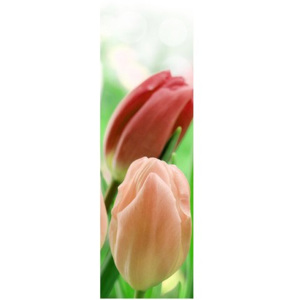 Nyomatos roletta Vörös tulipánok 42x150cm FR2181B_1LX