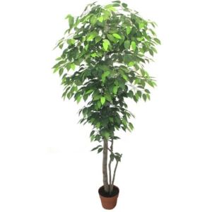 Zöld fikusz fa műnövény 180 cm