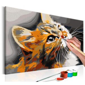 Festés számok szerint Bimago - Red Cat | 60x40 cm
