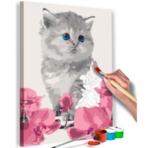 Festés számok szerint Bimago - Kitty Cat | 40x60 cm