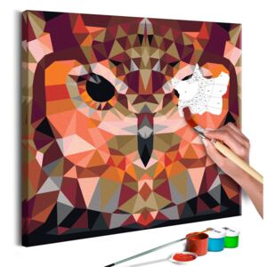 Festés számok szerint Bimago - Owl (Geometrical) | 40x40 cm