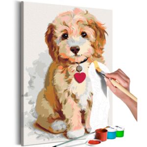 Festés számok szerint Bimago - Dog (Puppy) | 40x60 cm