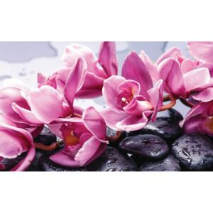 Fotótapéta: Spa kövek és rózsaszín orchideák - 184x254 cm