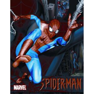 Fémplakát - Spiderman