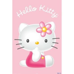 Plakát - Hello Kitty 3d