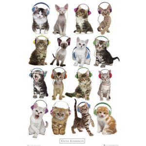 Plakát - Fejhallgató macskák, Keith Kimberlin