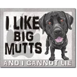 Fémplakát - I Like Big Mutts