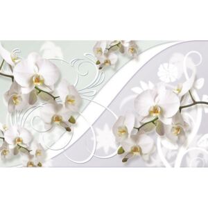 Fotótapéta: Fehér orchidea (minta) - 184x254 cm