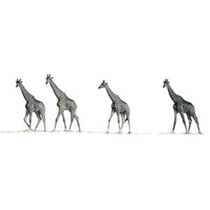 Vászonkép - Mario Moreno, The Giraffes