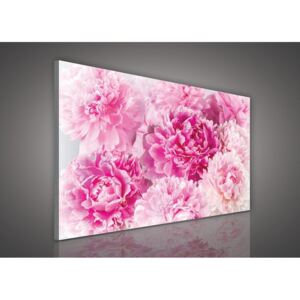Vászonkép: Rózsaszín rózsák (2) - 75x100 cm