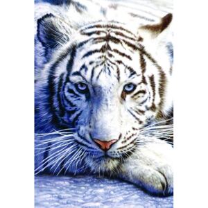 Plakát - Fehér tigris