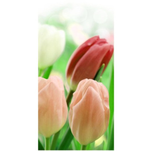 Nyomatos roletta Vörös tulipánok 68x150cm FR2181B_1MB