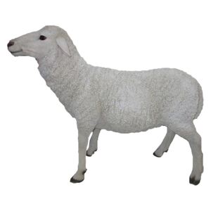 Álló bárány szobor, XL
