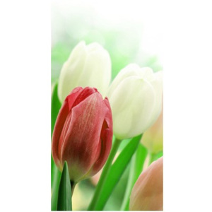 Nyomatos roletta Vörös tulipánok 68x150cm FR2181C_1MB