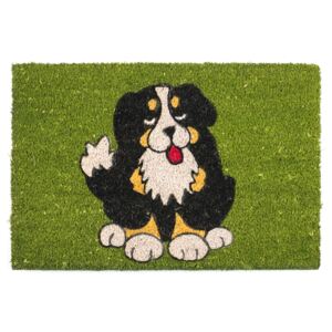 Kókusz lábtörlő fekete kutya 358 zöld 40 x 60 cm