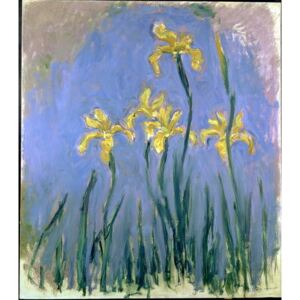 Yellow Irises; Les Iris Jaunes, c.1918-1925 Festmény reprodukció, Monet, Claude
