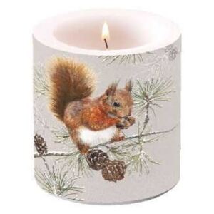 Squirrel In Winter átvilágítós gyertya 8x7,5 cm