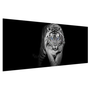 Tigris képe (Modern kép, Vászonkép, 120x50 cm)