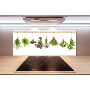 Hátfal panel konyhai Herbs egy húr