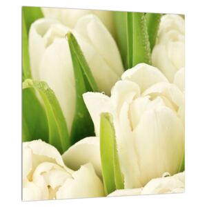 Tulipán virág képe (Modern kép, Vászonkép, {dim}})